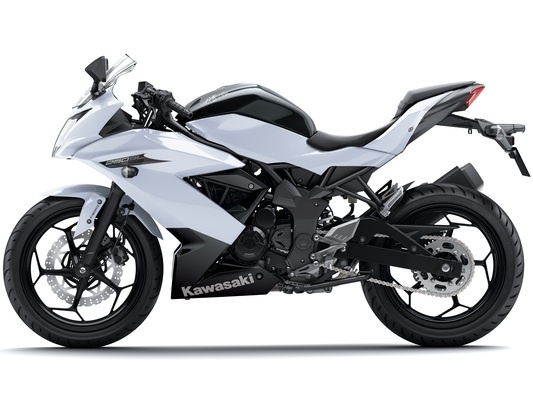 Фото мотоцикла Kawasaki Ninja 250SL ABS